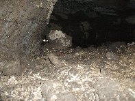 otte Scorciavacca20110306 102